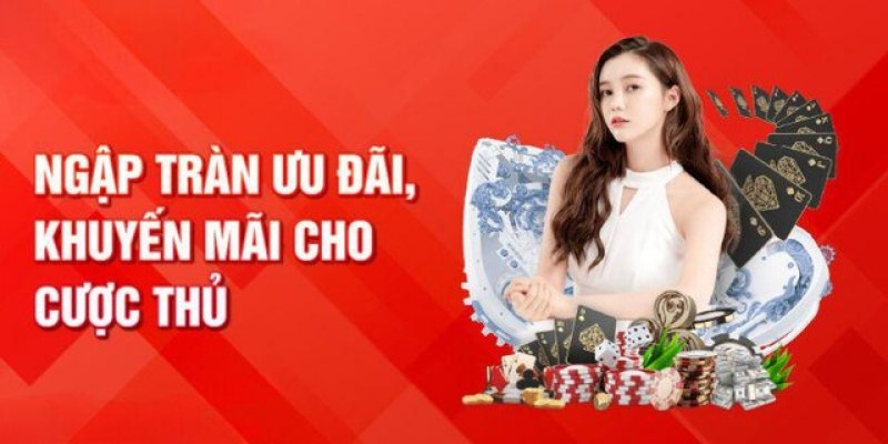 Ưu đãi và khuyến mãi 79king cho các sự kiện đặc biệt