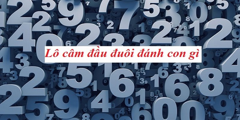 Lưu ý khi chơi lô đầu câm hiệu quả