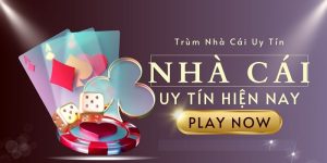 Nhà Cái Uy Tín - Địa Chỉ Cung Cấp Nền Tảng Cá Cược Chất Lượng